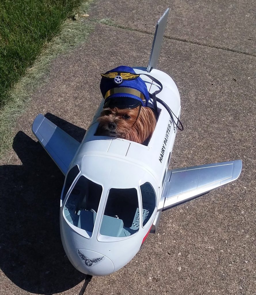Hairy Pawter's Private Jet